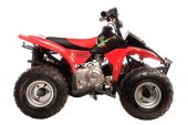2011 Lifan Cub 50 photo